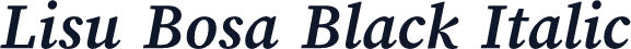 Lisu Bosa Black Italic