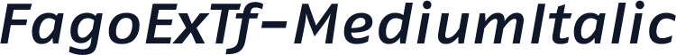 FagoExTf-MediumItalic