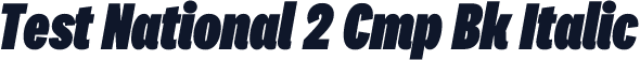 Test National 2 Cmp Bk Italic