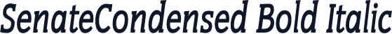 SenateCondensed Bold Italic