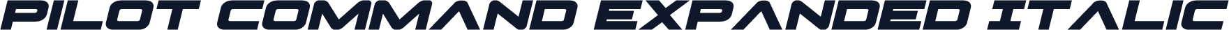 Pilot Command Expanded Italic