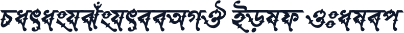 ParashSushreeAMJ Bold Italic
