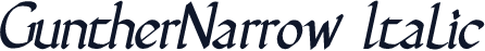 GuntherNarrow Italic