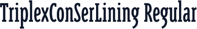TriplexConSerLining Regular