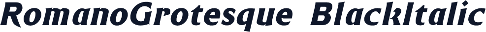 RomanoGrotesque-BlackItalic