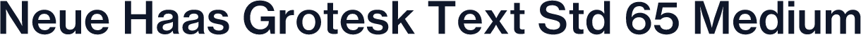 Neue Haas Grotesk Text Std 65 Medium