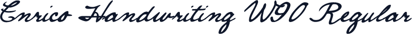 Enrico Handwriting W90 Regular