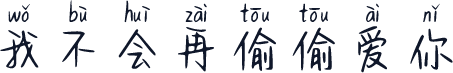 我不会再偷偷爱你