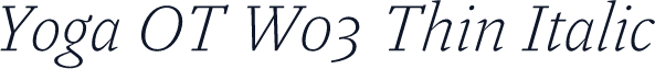 Yoga OT W03 Thin Italic