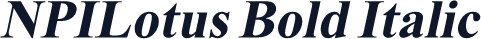 NPILotus Bold Italic