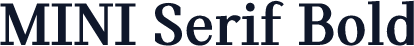 MINI Serif Bold
