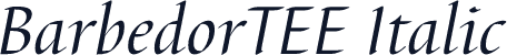 BarbedorTEE Italic