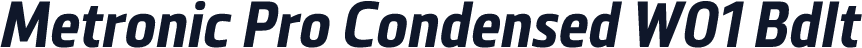 Metronic Pro Condensed W01 BdIt