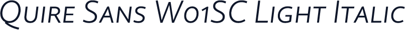 Quire Sans W01SC Light Italic