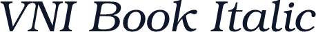 VNI Book Italic