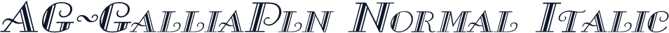 AG-GalliaPln Normal Italic