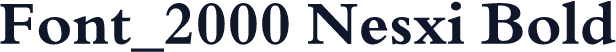 Font_2000 Nesxi Bold