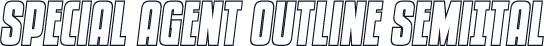 Special Agent Outline SemiItal