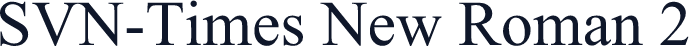 SVN-Times New Roman 2