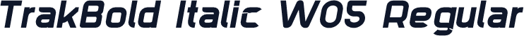 TrakBold Italic W05 Regular