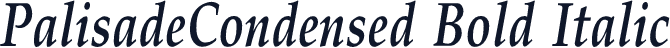 PalisadeCondensed Bold Italic