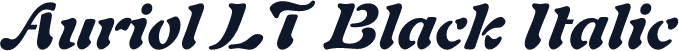 Auriol LT Black Italic