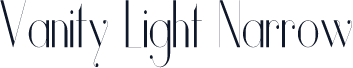 Vanity Light Narrow