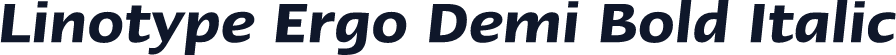 Linotype Ergo Demi Bold Italic