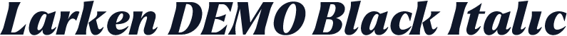Larken DEMO Black Italic