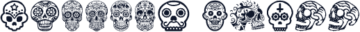Mexican Skull