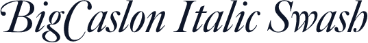 BigCaslon Italic Swash