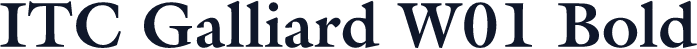 ITC Galliard W01 Bold
