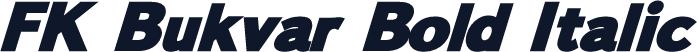 FK Bukvar Bold Italic