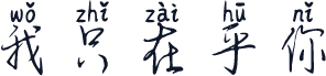 我只在乎你