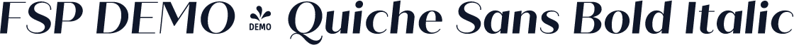 FSP DEMO - Quiche Sans Bold Italic