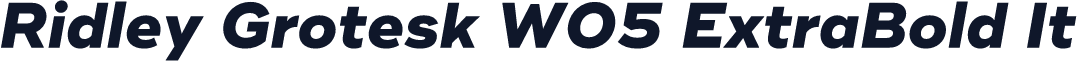 Ridley Grotesk W05 ExtraBold It