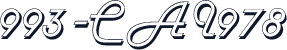 993-CAI978