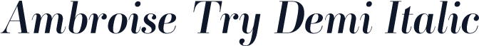 Ambroise Try Demi Italic