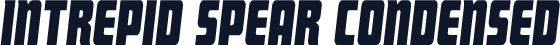 Intrepid Spear Condensed