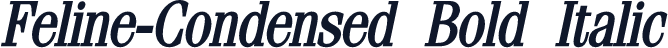 Feline-Condensed Bold Italic