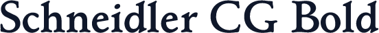 Schneidler CG Bold