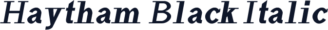 Haytham Black Italic