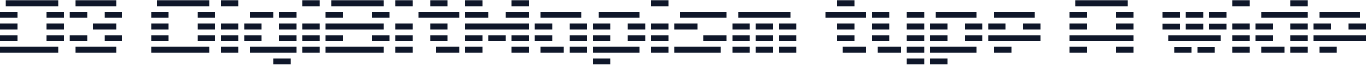 D3 DigiBitMapism type A wide