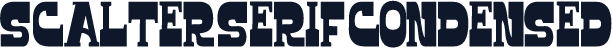 Scalter Serif Condensed