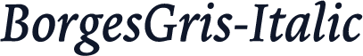 BorgesGris-Italic