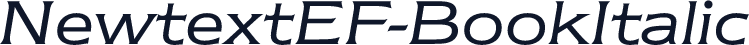 NewtextEF-BookItalic