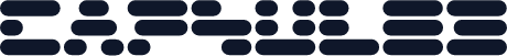 Capsule3