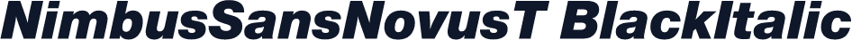 NimbusSansNovusT BlackItalic