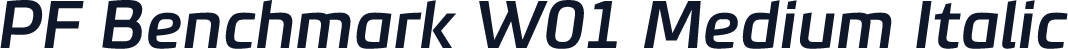 PF Benchmark W01 Medium Italic