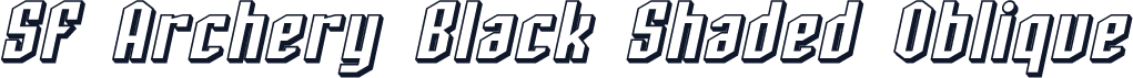 SF Archery Black Shaded Oblique